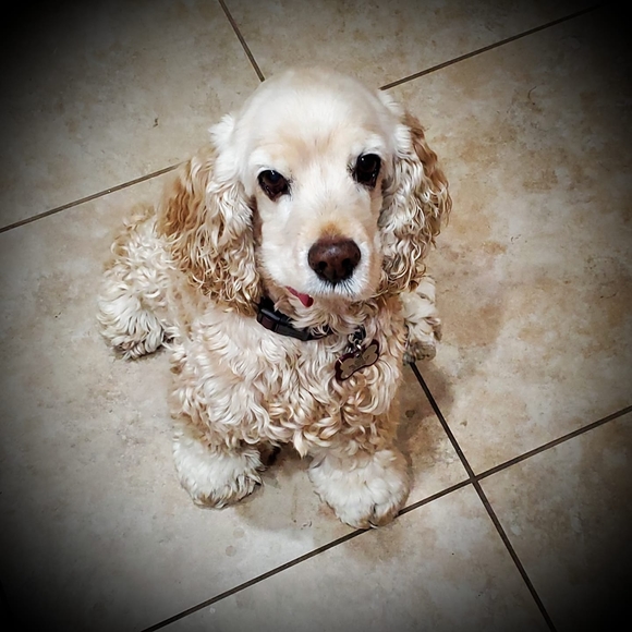 gidget0808